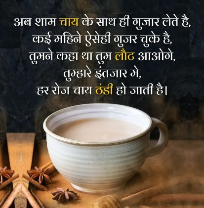 Tea Quotes in Hindi